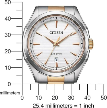 Citizen AW1756-89A Saat