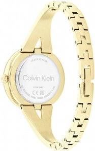 Calvin Klein CK25100027 Saat