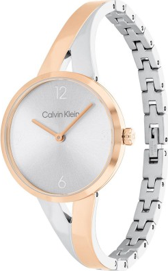 Calvin Klein CK25100028 Saat