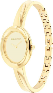 Calvin Klein CK25100056 Saat