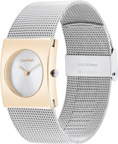 Calvin Klein CK25100063 Saat