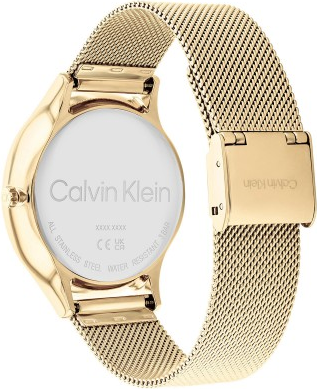 Calvin Klein CK25200103 Saat