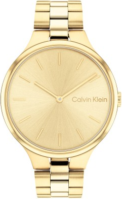 Calvin Klein CK25200126 Saat