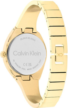 Calvin Klein CK25200235 Saat