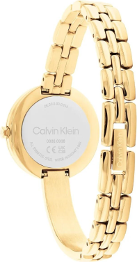 Calvin Klein CK25200279 Saat