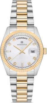 Momentus CW134T-02SG Saat