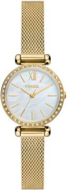 Fossil FBQ3898 Saat