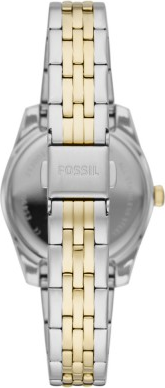 Fossil FES4949 Saat