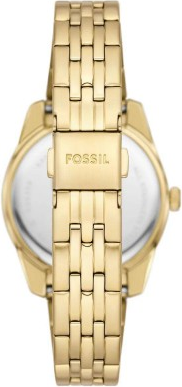 Fossil FES5338 Saat