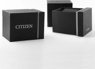 Citizen NH9131-73L Saat