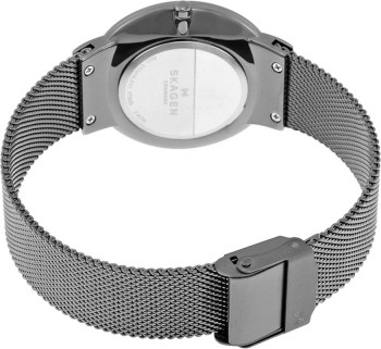 Skagen SKW2382 Saat