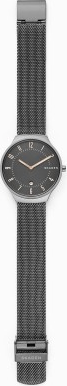 Skagen SKW6460 Saat