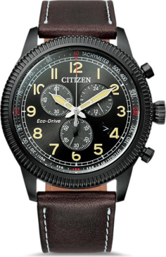 Citizen AT2465-18E Saat