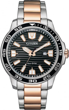 Citizen AW1524-84E Saat