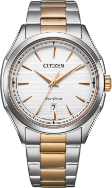 Citizen AW1756-89A Saat