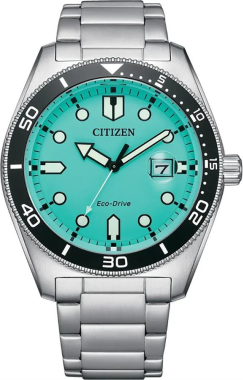 Citizen AW1760-81W Saat