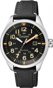 Citizen AW5000-24E Saat