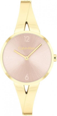 Calvin Klein CK25100027 Saat