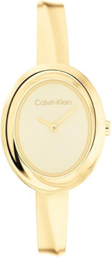 Calvin Klein CK25100056 Saat