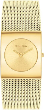 Calvin Klein CK25100062 Saat