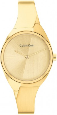 Calvin Klein CK25200235 Saat