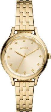 Fossil FBQ3863 Saat