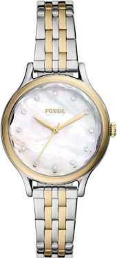 Fossil FBQ3864 Saat