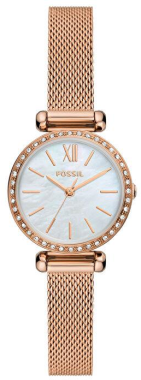 Fossil FBQ3897 Saat