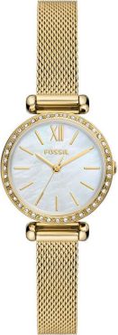 Fossil FBQ3898 Saat