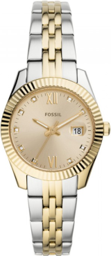 Fossil FES4949 Saat