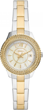 Fossil FES5138 Saat