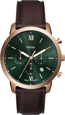 Fossil FFS6073 Saat