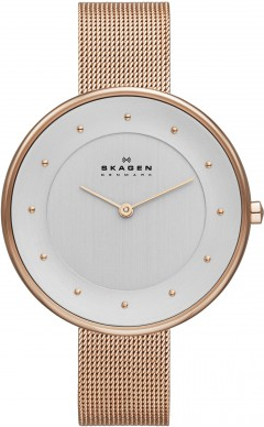 Skagen SKW2142 Saat