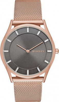 Skagen SKW2378 Saat