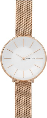 Skagen SKW2688 Saat