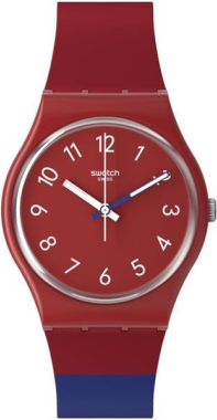 Swatch SO28R112 Saat