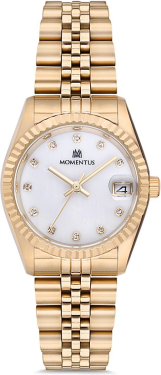 Momentus SW132G-02SG Saat