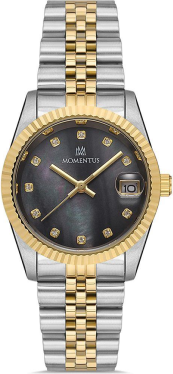 Momentus SW132T-04SG Saat