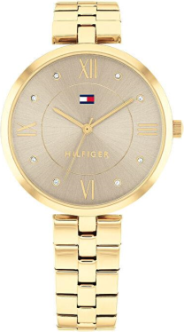 Tommy Hilfiger TH1782685 Saat