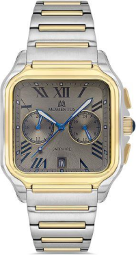 Momentus TM348T-03SG Saat