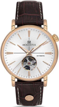 Momentus TM349R-02BR Saat