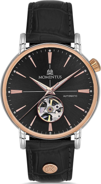 Momentus TM349T-04BR Saat