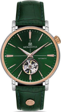 Momentus TM349T-15YR Saat